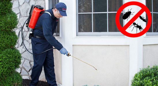 Uzundere Akrep İlaçlama böcek ilaçlama ve haşere kontrolü — ilaclama-tr.com
